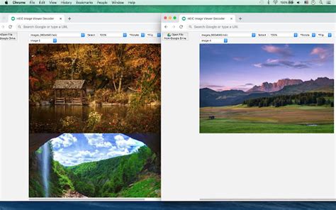 Heic Image Viewer Decoder Chrome Web Store