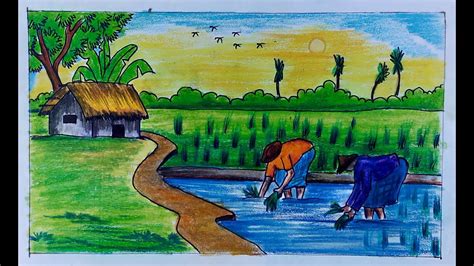 Rice Plantation Scenery Drawing Step By Step Rice Plantation Scenery