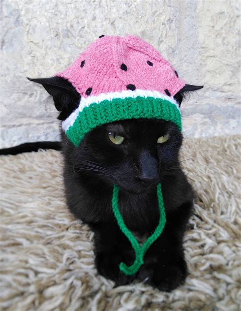Watermelon Hat For Cat Knitted Watermelon Pet Costume Cat Etsy
