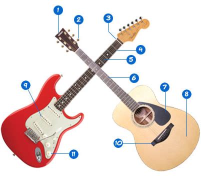 Ask students to design their own guitar using marker, crayons, or colored pencils, making sure that components in the diagram are present in their guitar. Basic Guitar Knowledge | ChampsGuitar