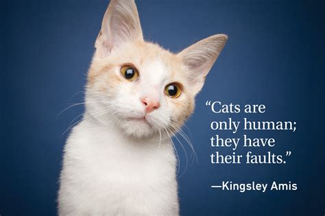 Cat Quotes Every Cat Owner Can Appreciate Readers Digest