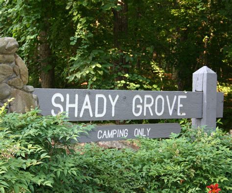 Shady Grove Campground Offers Online Reservations Lake Lanier