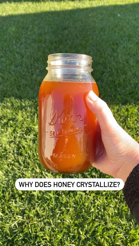 Have You Ever Had Crystalized Honey Most People Have Only Had The Rock Hard Version Of It That