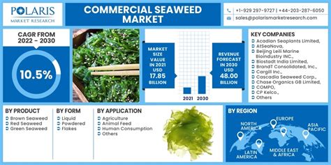 Commercial Seaweed Market 2022 30 Industry Share Report