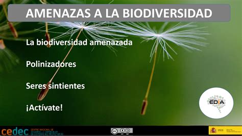 amenazas a la biodiversidad investigando la biodiversidad serie investigando