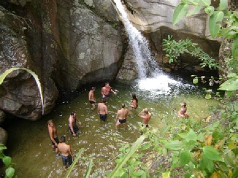 go gay jungle adventure puerto vallarta mexico top tips before you go with photos