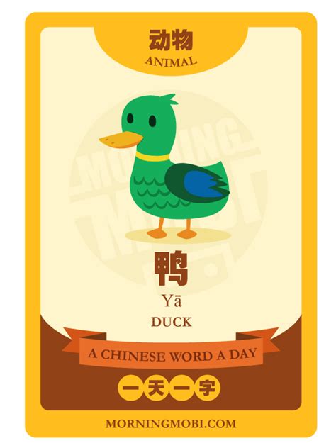 A Chinese Word A Day - 鸭 Duck | Mandarin chinese learning, Learn chinese, Chinese word