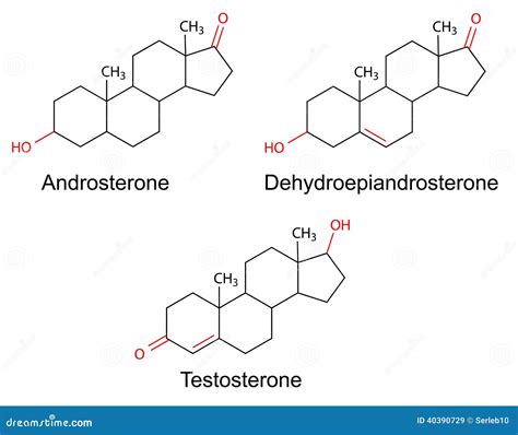 Structural Formulas Of Male Sex Hormones With Marked Variable Fragments Stock Vector