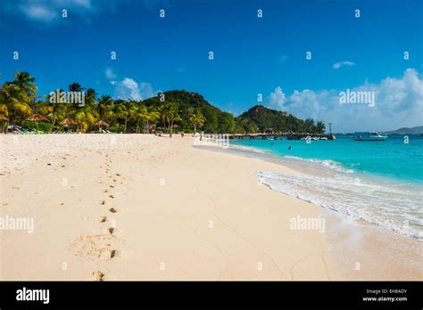 Palm Fringed White Sand Beach On Palm Island The Grenadines Windward