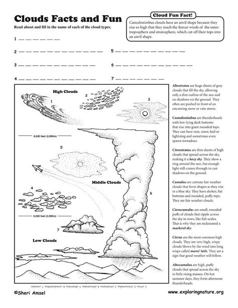 14 Types Of Clouds Worksheets Printable