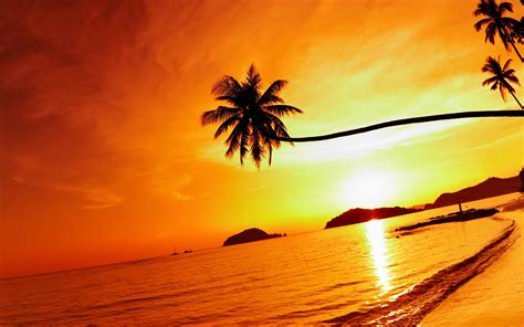 39 Tropical Beach Sunset Wallpaper Desktop On Wallpapersafari