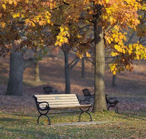 High Park Bench Beautiful Nature Pictures Scenery Nature Pictures