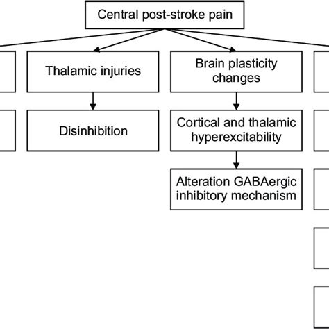 Schematic Illustration Of The Pathophysiology Central Post Stroke Pain