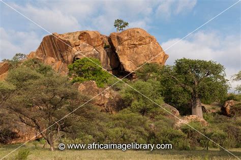 Photos And Pictures Of Heritage Tour To Mapungubwe Hill Guide With