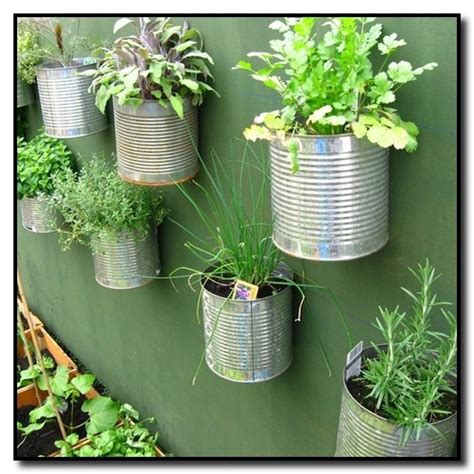 Starting an indoor herb garden is a relatively simple and compact project that will give you daily access to fresh herbs. City Dweller? It Is Possible To Still Grow Your Backyard ...