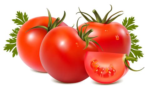Tomato Png Images Transparent Free Download Pngmart