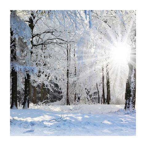 10x10ft Sunlight Winter Wonderland Snow Trees Branch Forest Woods