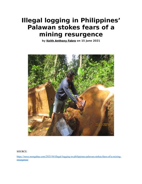 Illegal Logging In Philippines Illegal Logging In Philippines