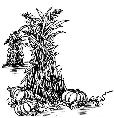 Fall Corn Stalk Clip Art