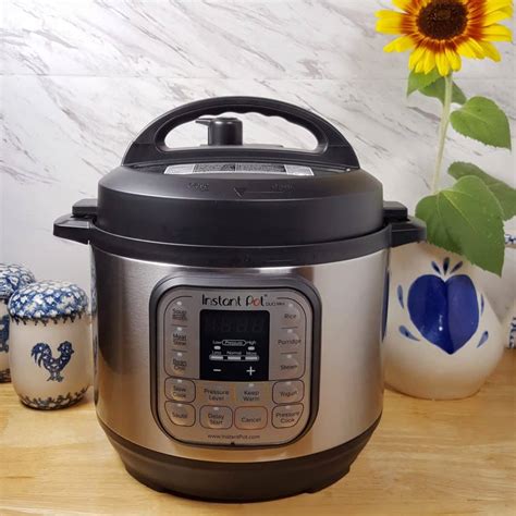 Can you cook pasta in a pressure cooker without it turning to mush? Instant Pot Duo Mini 7-in-1 Pressure Cooker Review | This ...