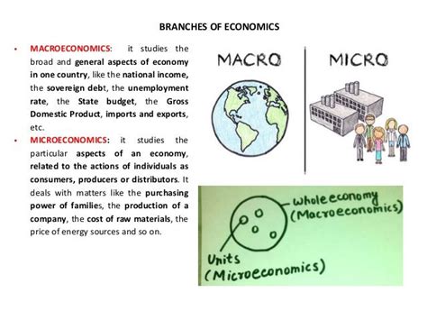 Economic Organization Of Societies