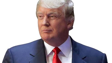 Will Donald Trumps Ego Hurt His Campaign Fox News