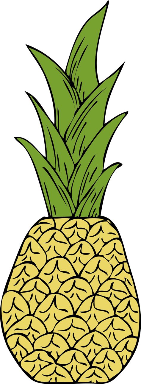 Pineapple Plant Clip Art Drawing Free Image Download