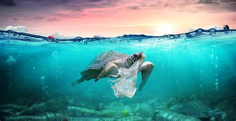 10 Cara Mengurangi Sampah Plastik Yuk Selamatkan Lingkungan
