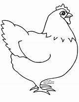 Chicken Printable Hen Coloring Pages Colouring Outline Sheets Big Featuring Fat sketch template