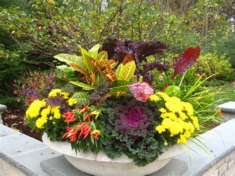 Fall Season Flower Container Ideas I Love This Plant Combination