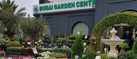 Dubai Garden Centre Review Location Prices Café And More Mybayut
