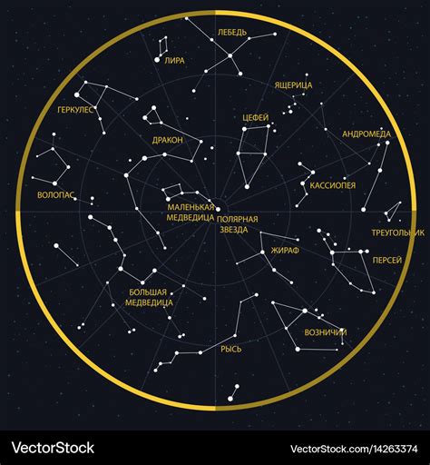 Constellations Of The Night Sky