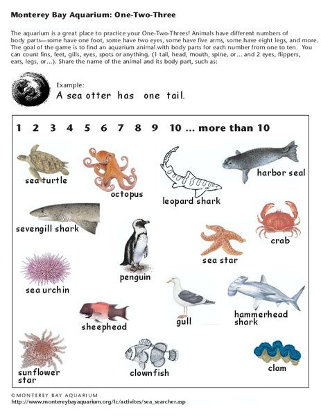 Monterey Bay Aquarium One Two Three Worksheet For 1st 2nd Grade