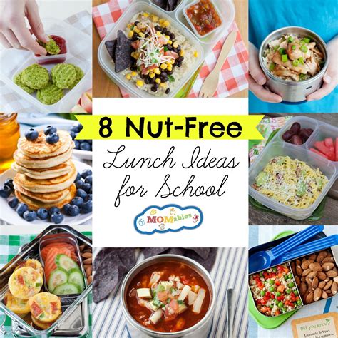 10 Ideal School Lunch Ideas For Picky Kids 2024