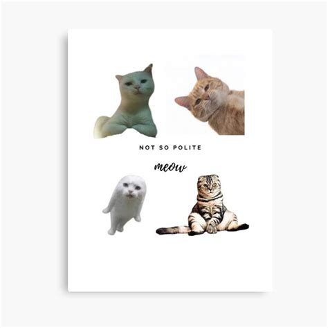 Funny Meow Cat Memes Not So Polite Cats Meme Canvas Print For Sale By