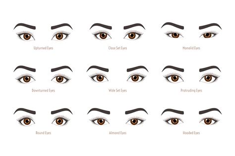 Types Of Woman Eyes Eye Shapes Illustrations Creative Market