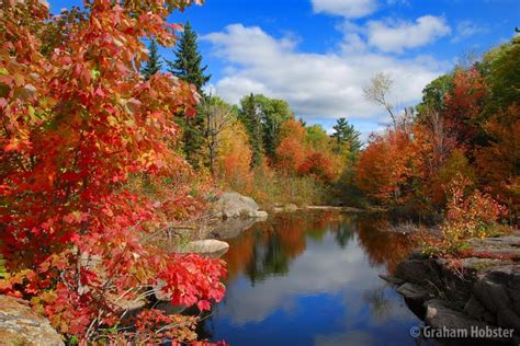 Simply Beautiful Fall Love Pinterest