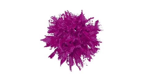 Purple Liquid Explosion Paint In Stock Footage Video 100