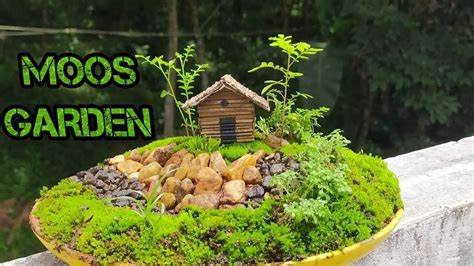 How To Make Moss Garden 🏡🏡🏡🏡 Youtube
