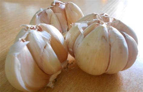 Bawang putih bukan sekadar bumbu penyedap masakan. Khasiat bawang putih untuk kesehatan - Khasiat Daun Alami