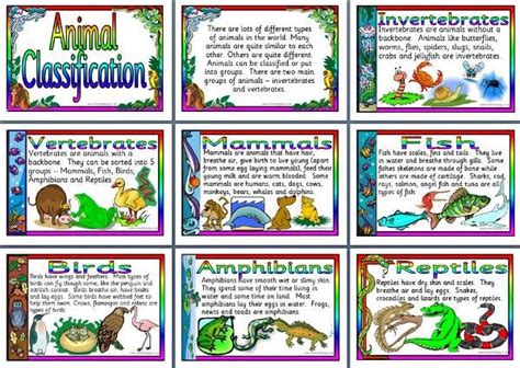 Ks2 Science Teaching Resource Animal Classification Printable Posters