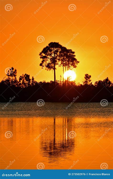 Colorful Orange Sunset Over Pine Glades Lake In Everglades National