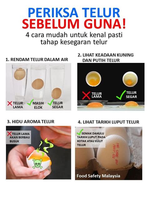 Melansir dari who, dioksin adalah sekelompok senyawa yang berhubungan secara kimiawi dan merupakan polutan lingkungan persisten (pops). Kena Tahu. Ini Tanda-Tanda Telur Di Dapur Anda Telah Rosak.