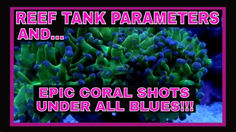 It is clean and safe for marine, reef and hard water. 75 Gallon Reef Tank - Reef Tank Parameters - YouTube