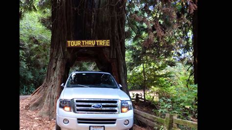 Drive Through Tree Video Giant Redwoods California Youtube