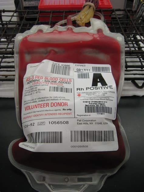 Antijenic Drift Blood Bank Expiration Dates Red Cells