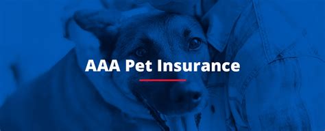 Pet coverage pays for the costs of your pet's medical care if it is injured in a car accident. AAA Pet Insurance in Central PA | AAA Central Penn