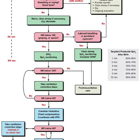 Pdf Special Report Neonatal Resuscitation 2010 American Heart