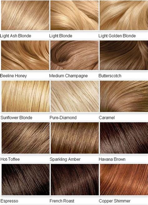 Hair Highlights Color Chart