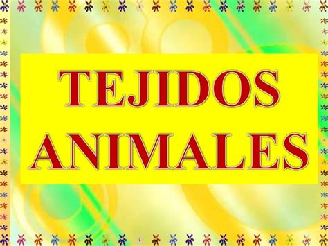 Tejidos Animales Excelente Ppt